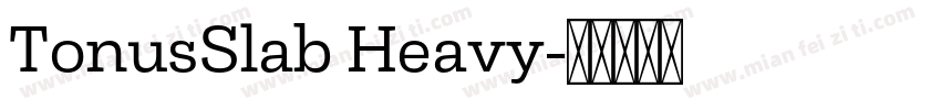 TonusSlab Heavy字体转换
